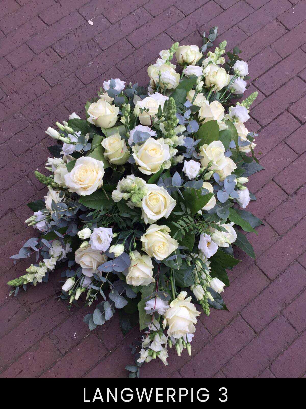 Langwerpige stukken