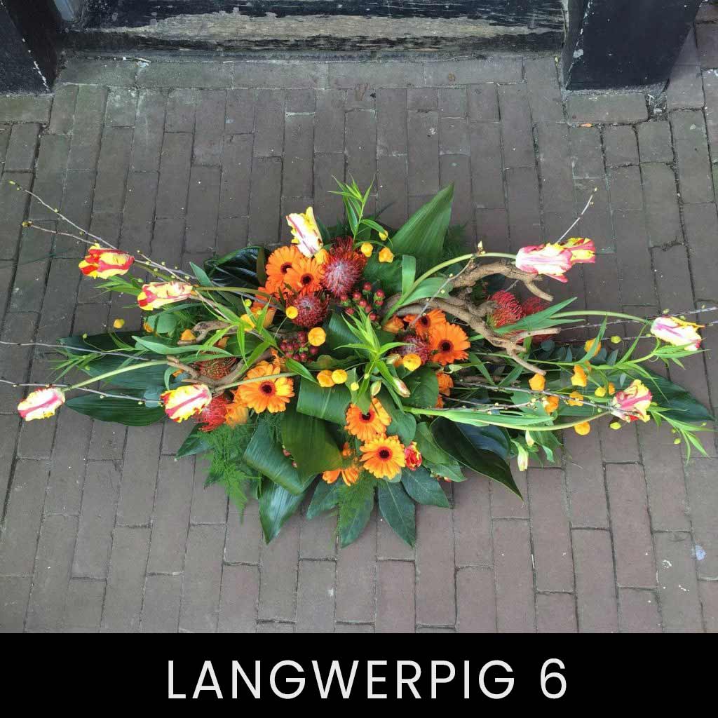 Langwerpige stukken