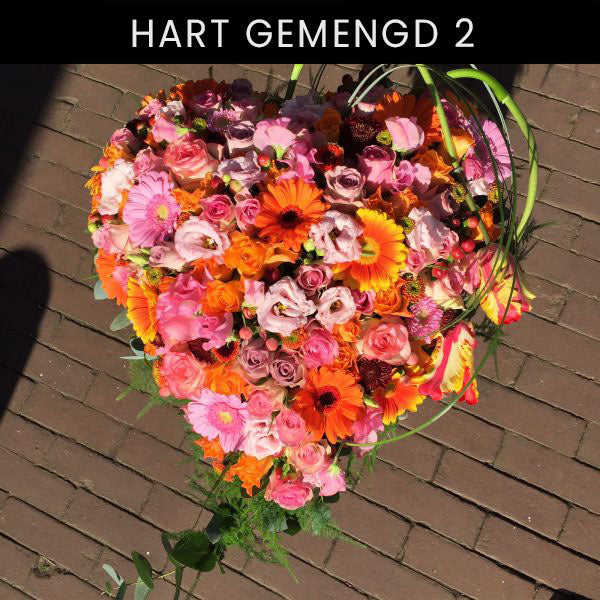 Harten